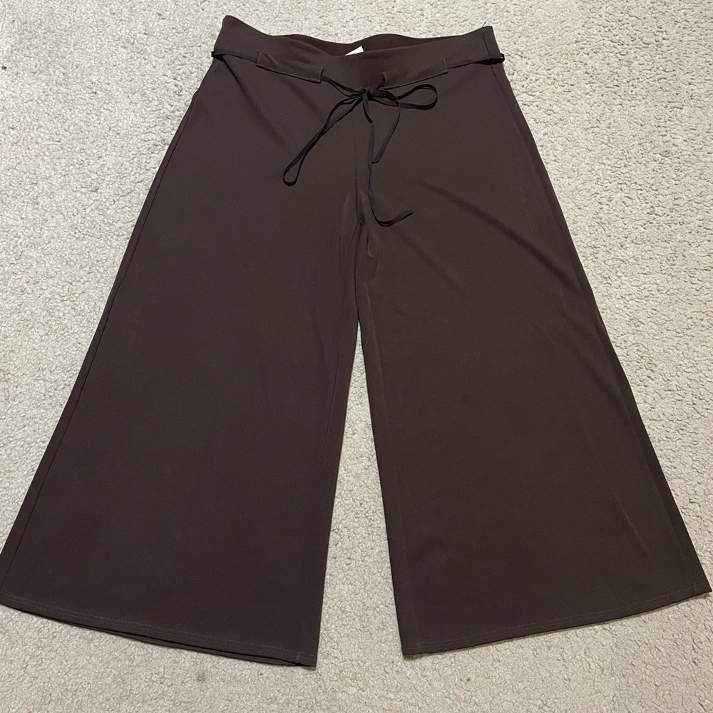 Max Studio Brown Wide Leg Gaucho Pants. NWOT